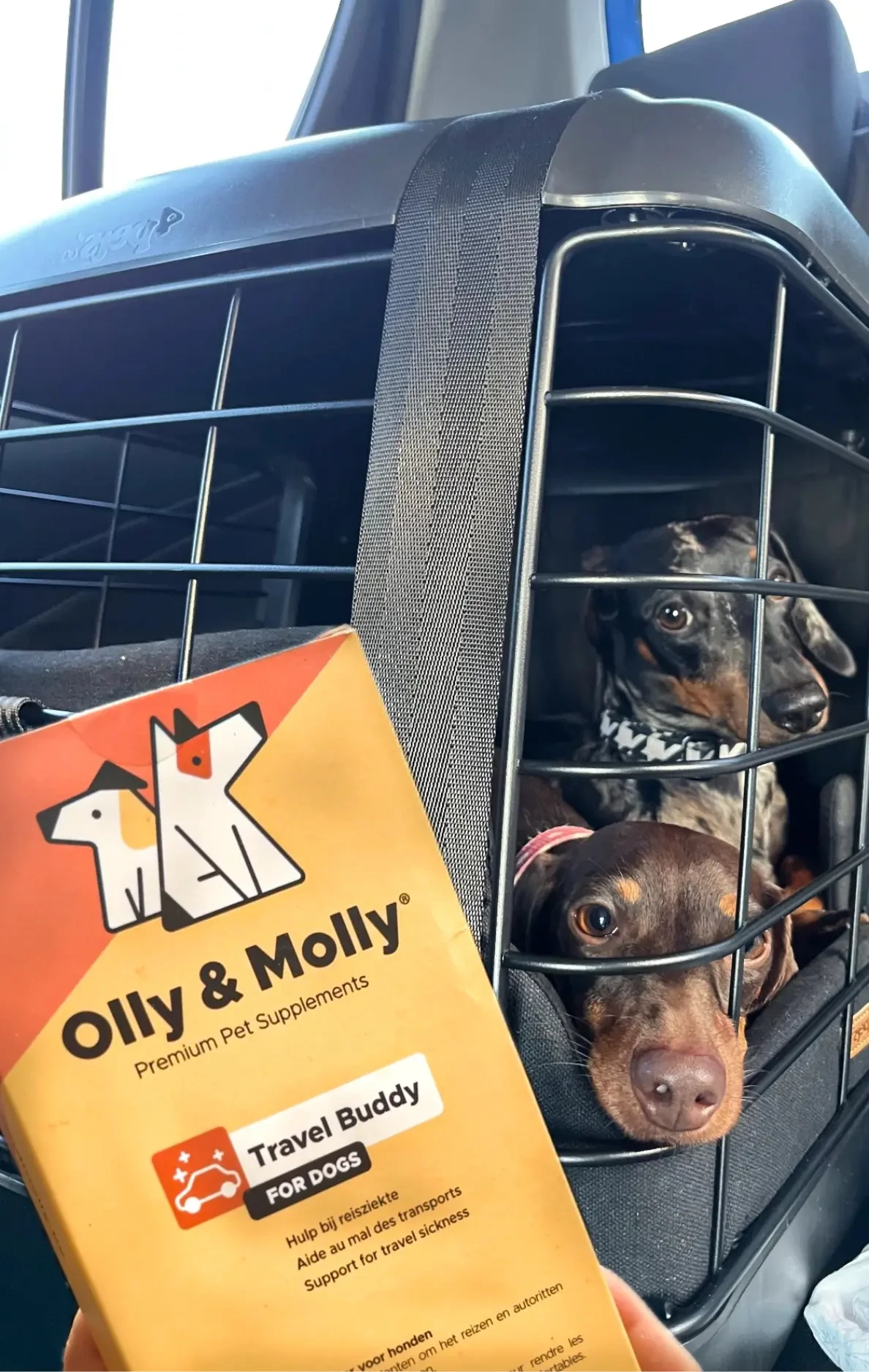Olly & Molly Travel Buddy