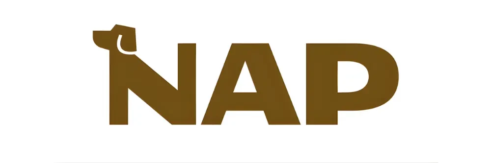 NAP logó