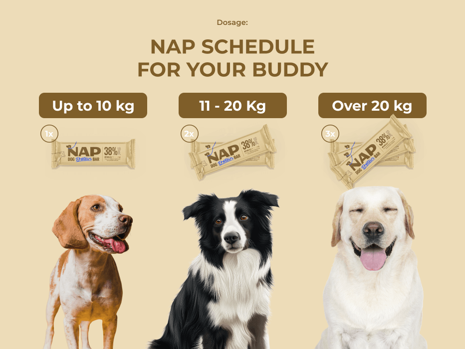 NAP Protein Szelet Adagolás és Bemutatkozás